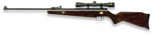 Beeman Dual Caliber Air Rifle