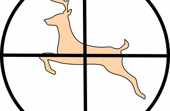 Top tips for deer hunting
