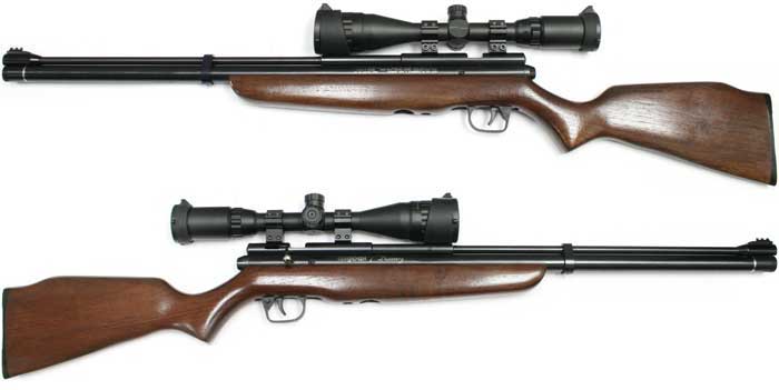 airriflehunter.com