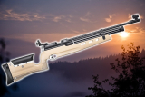 Air Arms MPR: The Champion’s First Rifle