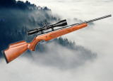 Best Air Rifle for 2021, Air Arms Pro Sport