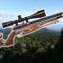 Air Arms MPR: The Champion’s First Rifle