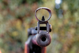Air rifle calibers, which one to use 0.177 or 0.22 or maybe 0.25?