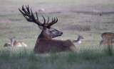 What is the hunting season and what can be hunted?