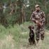 What is the quietest air rifle?