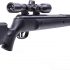 Photo cycle Dynamics in several Spring-Piston Airguns Chap several