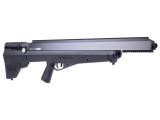 Expert Analysis: Benjamin Bulldog Magnum Series Bullpup Firepower in Bullpup Format: The Big Bore Revolution