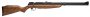 Benjamin Rifle