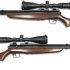 Gamo Swarm Magnum Pro 10X Gen3i: Multi-Shot Powerhouse