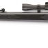 Review of Beeman RS1 Dual-Caliber Air Rifle Combo Air Rifle