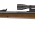 Review of Benjamin Discovery PCP Air Rifle
