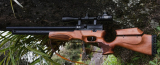 Exploring Powerful Options: Best Nitro Piston Air Rifles for Sports Shooting