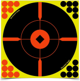 The Angeebin sports shooting target and their characteristics