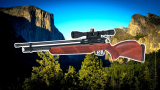 Best Air Rifles of 2021, GAMO COYOTE PCP