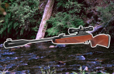 Best Air Rifles, GAMO HUNTER 1250 GRIZZLY PRO