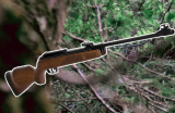 Best Air Rifles, GAMO HUNTER 440