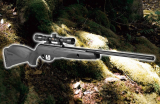 Best Air Rifles, GAMO BLACK CAT 1400 with 4X32WR SCOPE