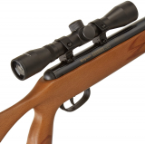 Types of Compressed Air Weapons; Spring Airguns.