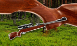 Best Air Rifles for 2022, RUGER YUKON MAGNUM .22