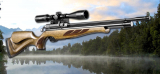 Best Air Rifle, S410 Air Arms.