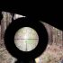 Do we buy telescopic sights and rifles together or separately?