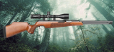 Best Air Rifle, TX200 Air Arms