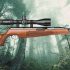 Best Air Rifle, S510 Ultimate Sporter Air Arms