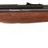Gamo Air Rifles: A Solid Choice for Target Practice and Plinking