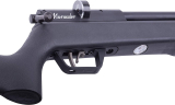 What Air Rifle Should You Use for Hunting in Texas?