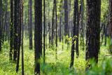 Tips for practicing sports shooting with an air rifle in Wisconsin State, US