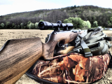 What are the necessary equipment to be able to go hunting?