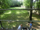 Basic Field Target #3. — FTRPA July 18th 2021