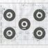 Photo cycle Dynamics in three or more Spring-Piston Airguns. – Preface