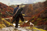 What is a hunting law? Should we know about laws before hunting?